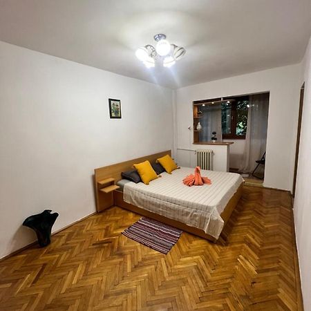 Miha Modern And Central Apartament Malul Muresului Арад Екстериор снимка