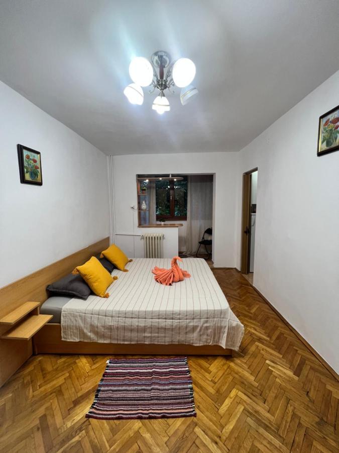 Miha Modern And Central Apartament Malul Muresului Арад Екстериор снимка