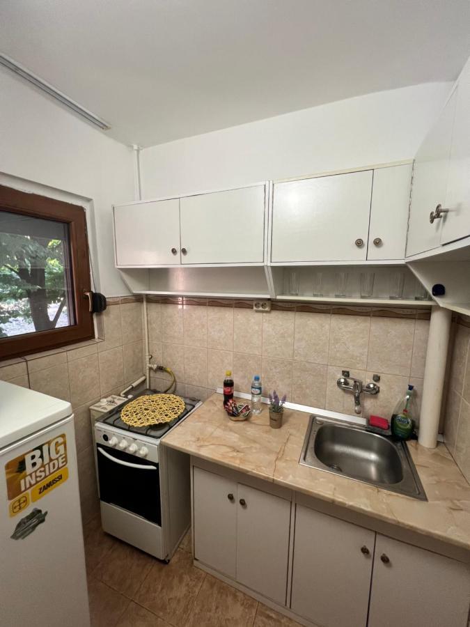 Miha Modern And Central Apartament Malul Muresului Арад Екстериор снимка