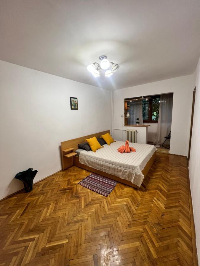 Miha Modern And Central Apartament Malul Muresului Арад Екстериор снимка