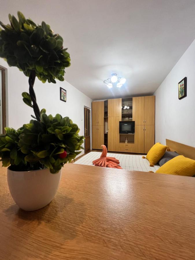 Miha Modern And Central Apartament Malul Muresului Арад Екстериор снимка
