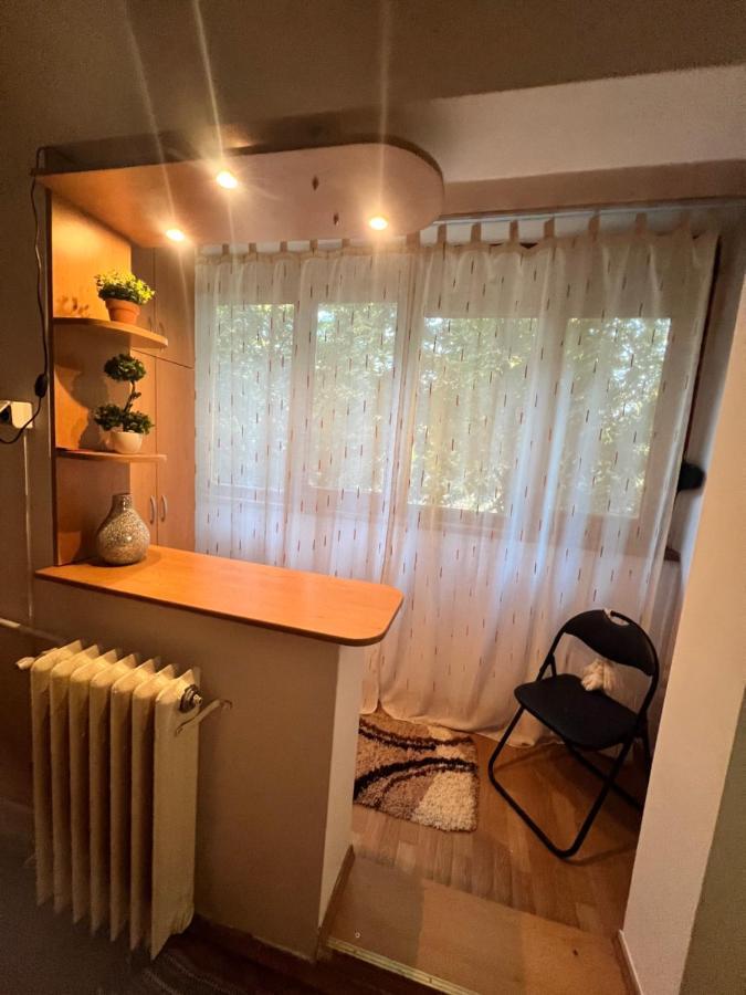 Miha Modern And Central Apartament Malul Muresului Арад Екстериор снимка