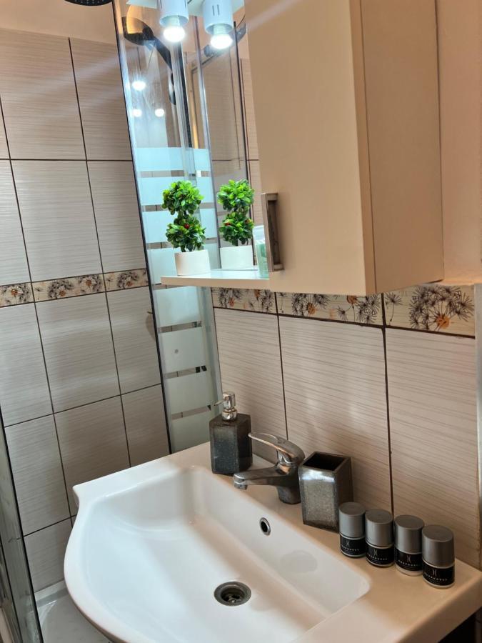 Miha Modern And Central Apartament Malul Muresului Арад Екстериор снимка