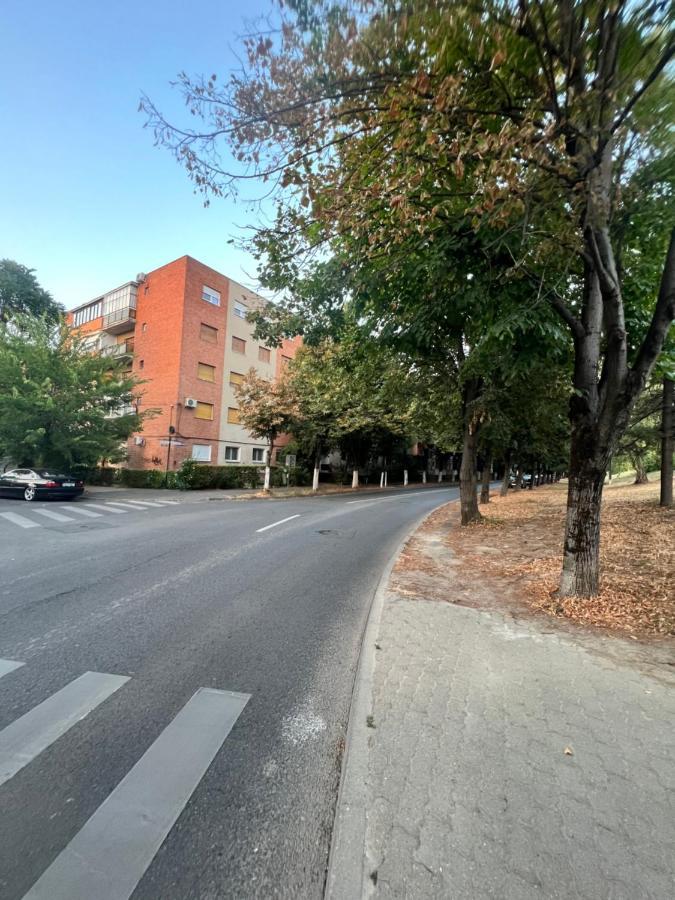 Miha Modern And Central Apartament Malul Muresului Арад Екстериор снимка