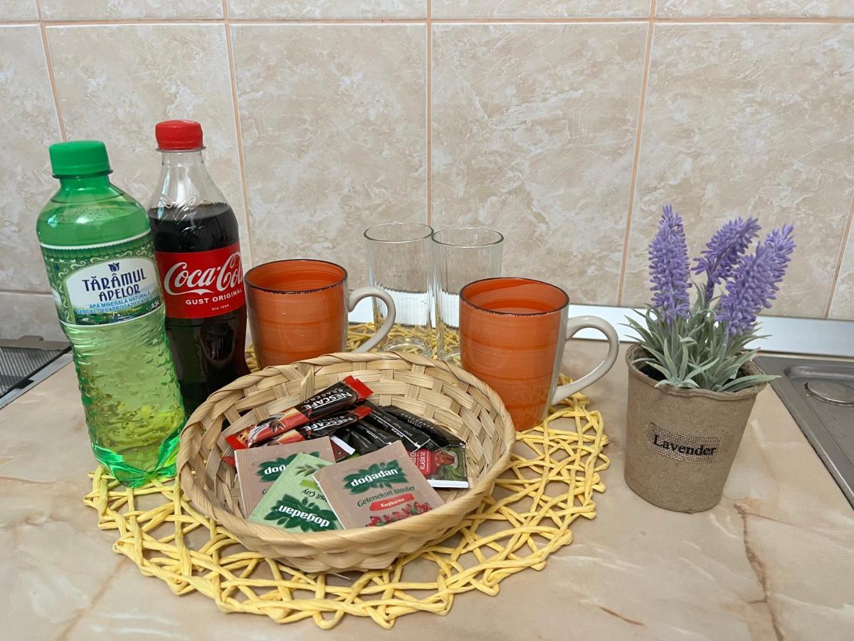 Miha Modern And Central Apartament Malul Muresului Арад Екстериор снимка