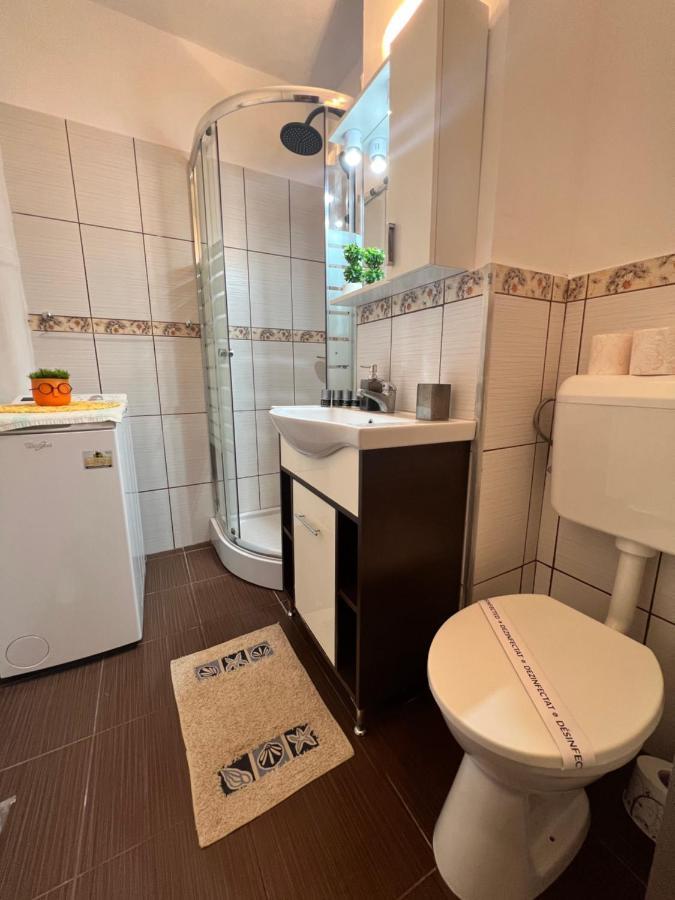 Miha Modern And Central Apartament Malul Muresului Арад Екстериор снимка